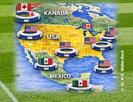 Naturrasen im Fokus der  Fußball-WM 2026