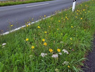 Straßenbegleitgrün kann vielfältig sein