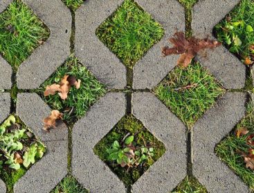 Rasengittersteine, ein Mix aus Pflanzen und stabiler Pflasterfläche