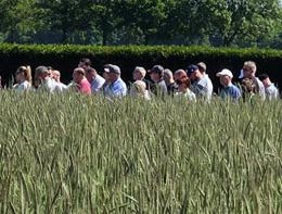 Gräser im Fokus des  137. DRG-Rasenseminars in Krefeld