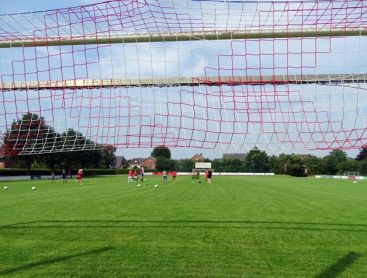 Naturrasen ist beliebt bei den Spielern