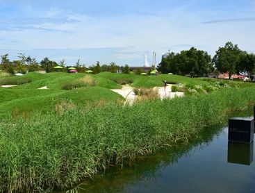 Rasen – auch ein Thema bei der BUGA Heilbronn