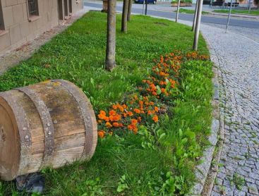 Gärtnerische Gestaltung