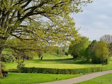 Rasen im Frühling im Einklang mit der Natur