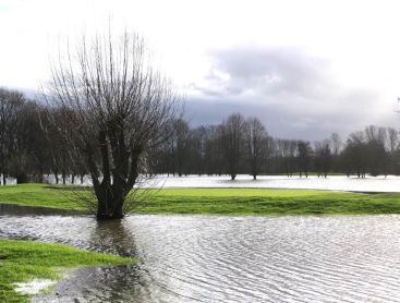 Rasen unter Wasser