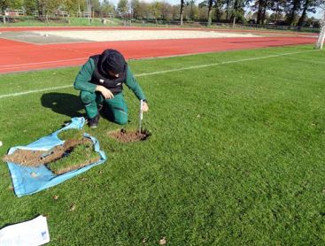 Rasen – auch ein Thema bei der BUGA Heilbronn