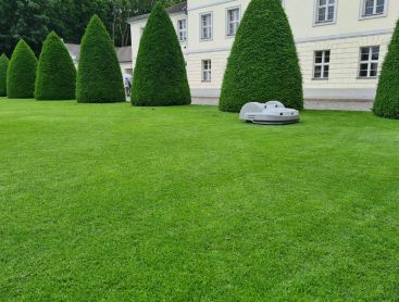Repräsentationsrasen wird regelmäßig gemäht.