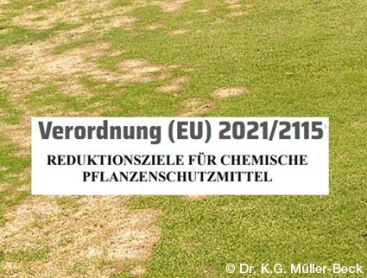 Stellungnahme zur Sicherung der Qualität des Sportrasens in Deutschland