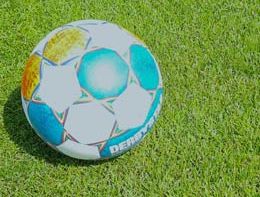 “DFL-Pitch of the Year Award 2022“ ist entschieden, Deutsche Rasengesellschaft gratuliert den Prämierten