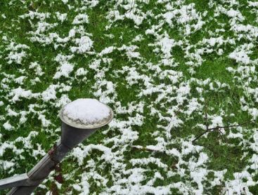 Schneebelag im Februar