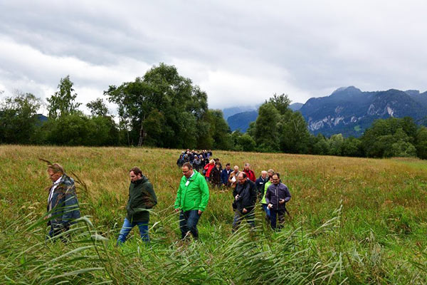 Empfängerfläche der Iriswiese auf der Golfanlage Ennstal.