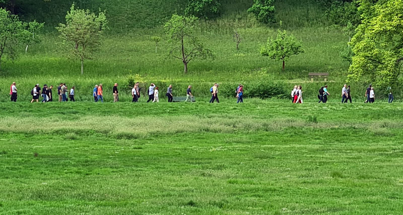 Die ambitionierte Exkursion des 131. DRG-Rasenseminars endete mit dem Rundgang durch den Schlosspark Tiefurt.