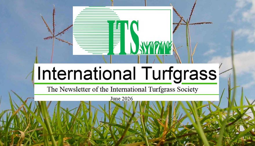 ITS-Newsletter mit Berichten und Forschungsergebnissen