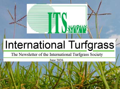 ITS-Newsletter mit Berichten und Forschungsergebnissen