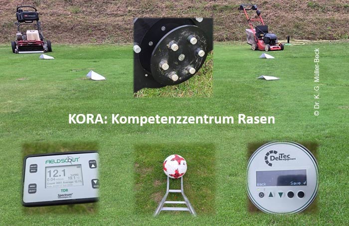Felduntersuchungen auf der Rasenfläche.