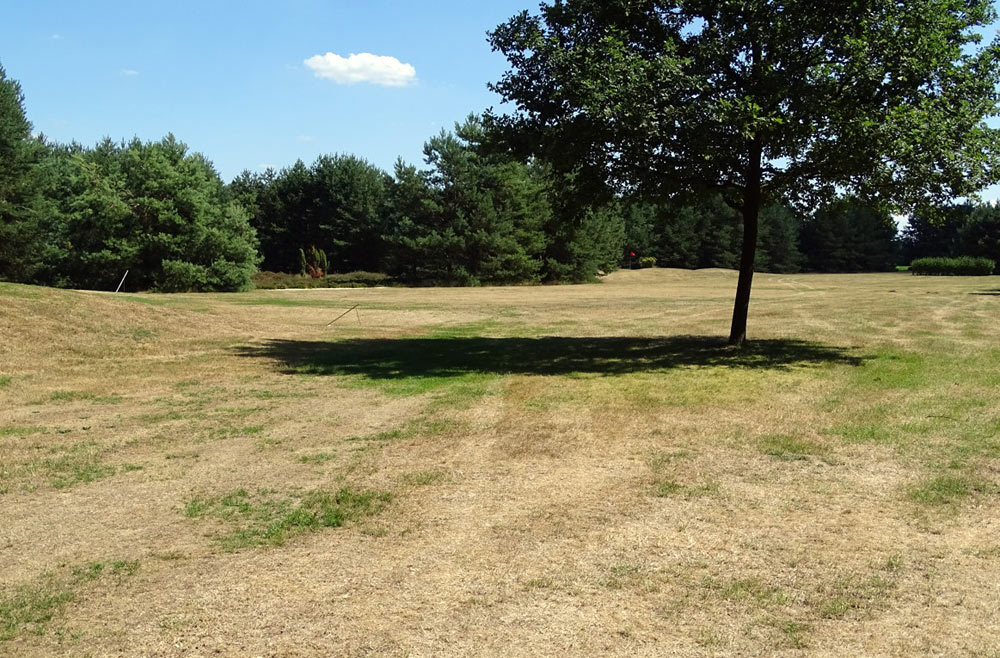 Rasenaspekt bei längerer Trockenheit auf dem Fairway in Abhängigkeit von der Bodenfeuchte. Baumschatten führte zu verringerter Verdunstungsrate (ET). (Foto: K.G. Müller-Beck)