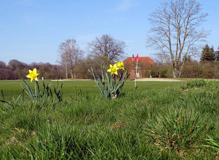 Frühlingserwachen auf dem Golfplatz