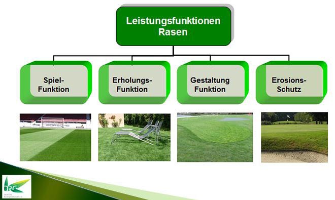 Rasenflächen mit unterschiedlichen Leistungseigenschaften.