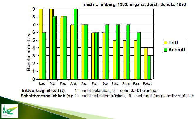 Einstufung der Gräsereigenschaften Tritt- und Schnittverträglichkeit nach Boniturnoten 1 -9 für die wichtigsten Rasengräserarten.