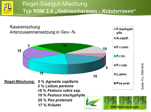 Typ RSM 2.4 "Gebrauchsrasen - Kräuterrasen"