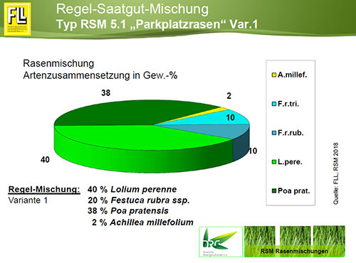 Typ RSM 5.1 "Parkplatzrasen" Var. 1