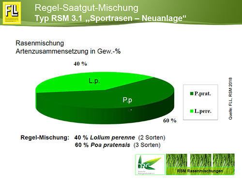 Typ RSM 3.1 "Sportrasen-Neuanlage"