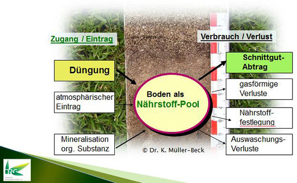 Schematische Darstellung des Nährstoffangebotes (Zugang/Verbrach) im Boden.