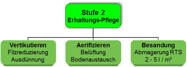 Bei Spielbetrieb wird eine Erhaltungs-Pflege erforderlich.