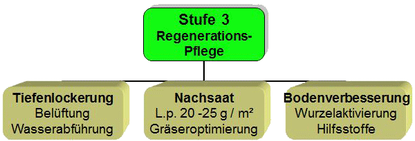 Bei intensivem Spielbetrieb wird in der Spielpause eine Regenerations-Pflege notwendig.
