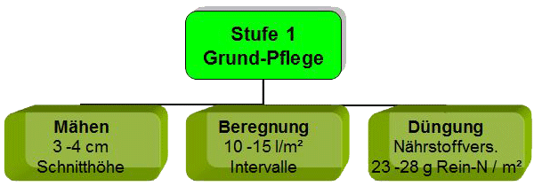 Die Basis für die Entwicklung einer Rasenfläche liegt in der Grund-Pflege.