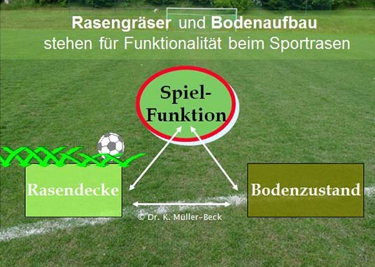 Wechselwirkung zwischen Bodenaufbau (RTS) und Rasen-Mischung (RSM) bestimmt die Spielfunktion beim Rasensportplatz.