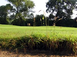 Bunkerkante und Böschung