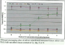 Silicon Amendment: A Component of Integrated Gray Leaf Spot Management Strategy