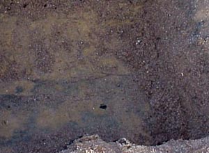Verdichtete Rasentragschicht mit typischer Marmorierung