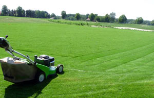 Erster Schnitt bei einem neu angelegten Golfgrün-Rasen