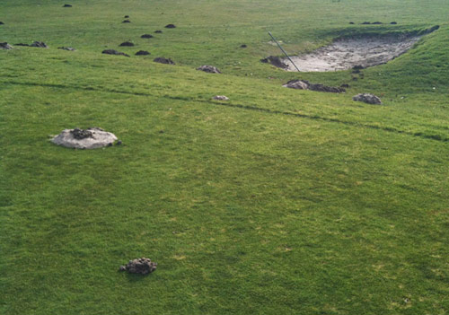 Maulwurfshügel im Golfrasen