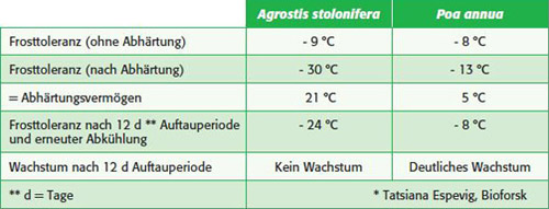 Tab. 1: Frosttoleranz von Agrostis stolonifera im Vergleich zu Poa annua; (Quelle: Tatsiana Espevig, Bioforsk)