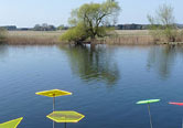 Premnitz Havelufer
