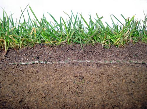 CombiGrass®