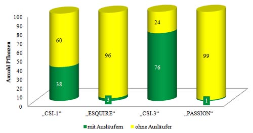 Anzahl der Pflanzen mit und ohne Ausläufern