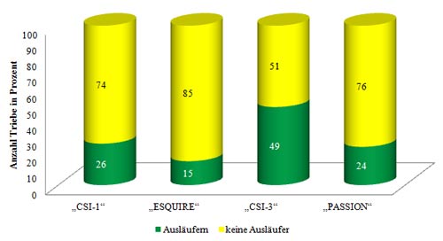 Anzahl der Triebe mit und ohne Ausläuferbildung