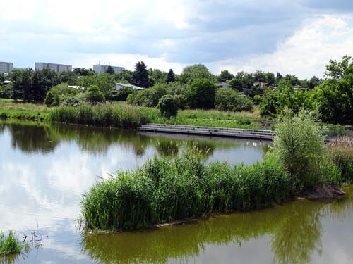Wuhleteich mit neu angelegten Sitzterrassen (Hintergrund).