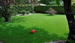 Das Frühjahr ist gekommen (21.05.2016) und die Rasenfläche ist vollständig regeneriert.