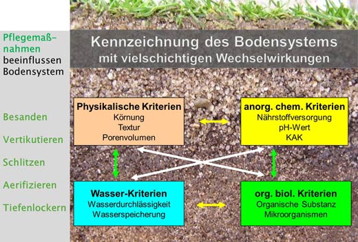 Wechselwirkungen zwischen Bodenkriterien und Pflegemaßnahmen