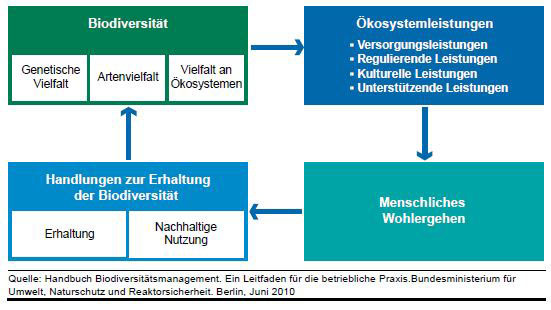 Schematische Darstellung der Biodiversität und ihre Erhaltung im Sinne des menschlichen Wohlergehens