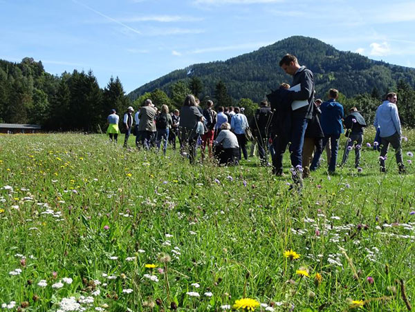 Besichtigung der Versuchsflächen zur Übertragung von Saatmaterial aus Grünlandflächen mit hohem Naturwert