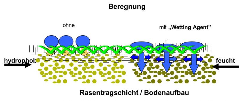 Schematische Darstellung der Wirkung von Wetting Agents auf die Oberflächenspannung von Wassertropfen