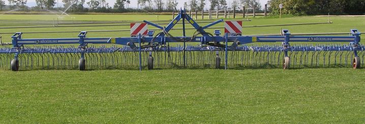 Rasenstriegel mit Federzinken