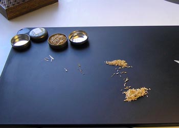 Untersuchung einer Saatgutprobe auf Reinheit und Fremdartenbesatz
