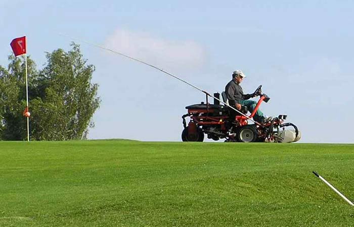 Schnitthäufigkeit von Golfgrüns beeinflusst Puttqualität